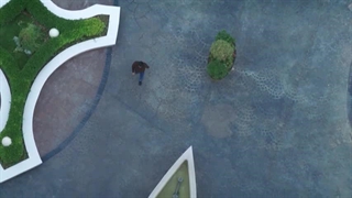 سریال دل قسمت 31 لینک دانلود در توضیح هات