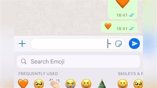 حرکتای فان وباحال واتساپ