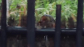 سریال چینی برومنس 2023 Stand By Me تا قسمت اخر آپ شد