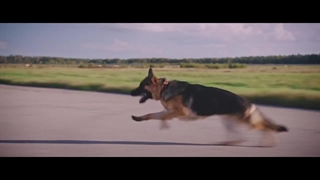 فیلم پالما با دوبله فارسی/ Palma 2021