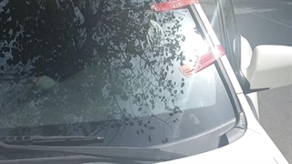 تعمیر شیشه بالابر برقی و تعویض شیشه جلوی اسپورتیج