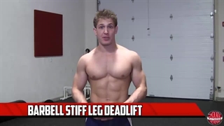 ددلیفت هالتر