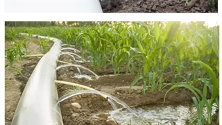 آبیاری با لوله هیدروفلوم