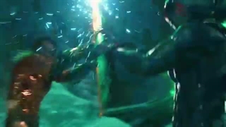 Aquaman and the Lost Kingdom - Trailer تریلر رسمی