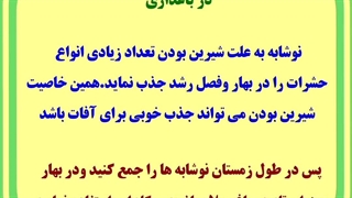 کاربرد نوشابه در کشاورزی باغداری و باغبانی