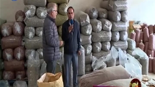 کارگاه تخمه پزی کربلایی هوشنگ نوری در شهرک لوشکان - سوغات لوشکان