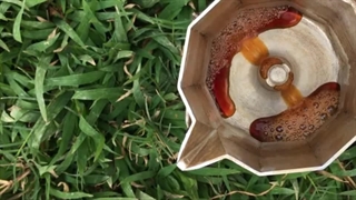 موکاپات چطور کار می کنه | تهیه قهوه با موکاپات