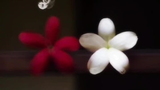 نمیدونم چی بگم....