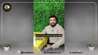 حذف صدای قلیون | چگونه با صدا خفه کن قلیون ، لذت قلیون کشیدن را افزایش دهیم؟