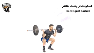 آموزش حرکت بک اسکات (Back Squat)
