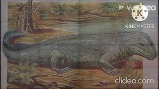 band geeks up and Pegasus Dream