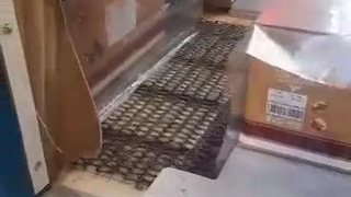 بسته بندی خرما صادراتی بهارشاهی ترید