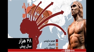 انسان اولیه