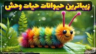 5 تا از سوپر استار های حیات وحش | زیباترین حیوانات جهان 