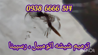 ترمیم شیشه اتومبیل ، در سعادت آباد ، شهرک غرب ، 09386666514