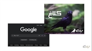 فیلم معرفی اکسپرت مدیریت سرمایه کلاغ