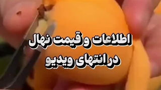 شغل های پردرآمد خانگی بدون سرمایه ( لینک در پایین )