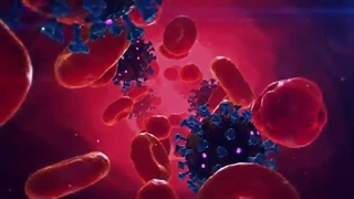 Nucleic acid nanobots (Dr.Afshin Rashid)