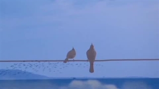 خونه ما دور دوره