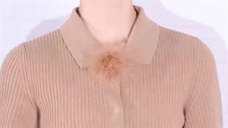 این همبازی exo شناختین؟