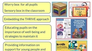 SEN Support in schools for pupils with social, emotional and mental health needs