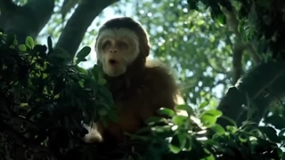 پیدایش اولین انسان: پیدایش انسان از ۲۰ میلیون سال پیش تا الان