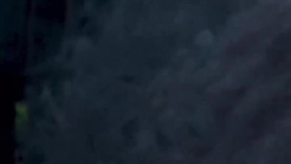 آتش سوزی لس آنجلس