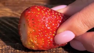 ترفند های شگفت‌ انگیز خانگی برای نگهداری، جوانه‌ زنی و قلمه‌ زنی گیاهان