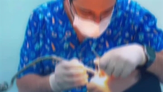 بهترین کلینیک دندانپزشکی مشهد- خدمات زیبایی در مشهد