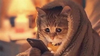 زل بزن به شاهکارت 