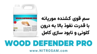 سم نابودی کلونی موریانه - بهترین سم موریانه کش