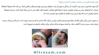 سم نابودی مار و خزندگان - بهترین سم مار کش