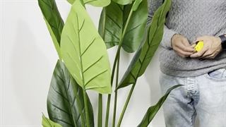 خرید درختچه‌ مصنوعی آلوکازیا 1.7 متری 10 برگ| فروشگاه ملی