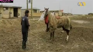 فیلم مستند وداستانی: آتلان سال1392 ساخته معین کریم الدینی