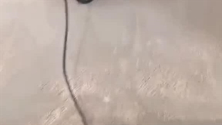 کف سابی در ونک ، آرژانتین ، شیخ بهایی