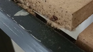 سم‌پاشی ساس تهران 02166475814