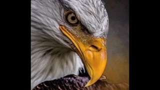 ترانه: جسم من بی تو (خودم ساختم)