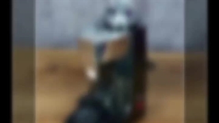 فروش کلیه ی تجهیزات فست فود، قنادی، رستوران، کافی شاپ | تجهیزات رستوران و فست فود زادمن