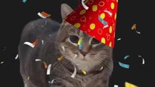 آهنگ تولد - عو عی عا - عزیزم تولدت مبارک