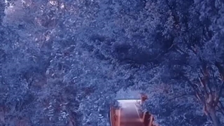 سریال : ۲۱و ۲۵ ساله