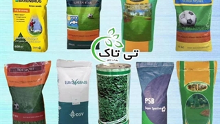 شبدر زینتی خارجی | شبدر دایکوندرا