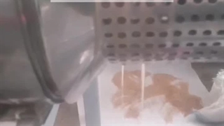 کالیبر ۱۴۰ دستگاه روغن گیری صنعتی تولید روغن خط تولید کسب و کار کارافرینی