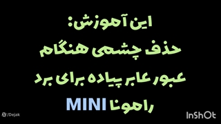 آموزش تنظیم آپشن تشخیص عابر برد رامونا مینی