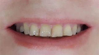 دکتر نیلوفر شاه بیگی