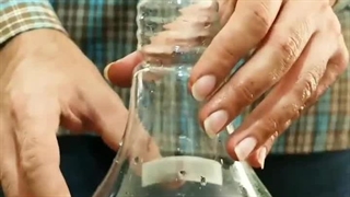 چطوری چمن آبزی بکاریم؟